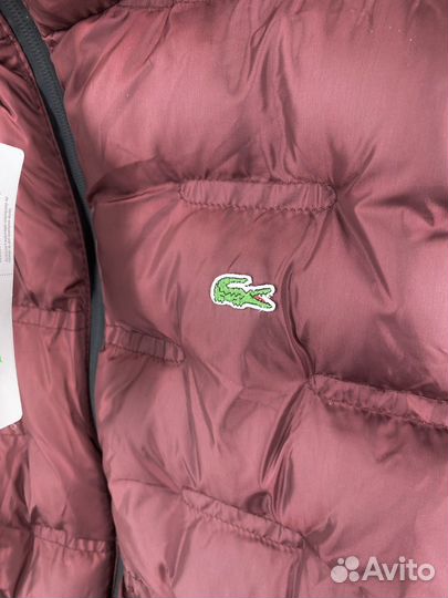 Жилетка lacoste