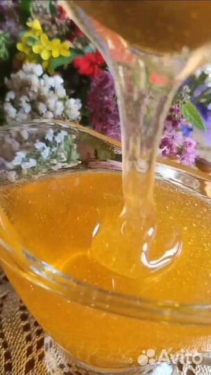 Мёд липовый, цветочный, акация, Гречишный