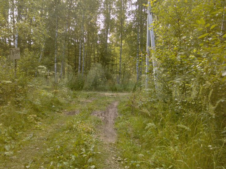 Участок 6 сот. (СНТ, ДНП)