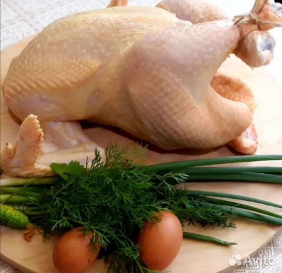 Мясо кур. утки. домашние