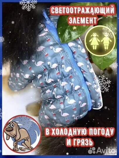 Одежда для маленьких собак