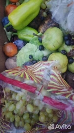 Овощи фрукты