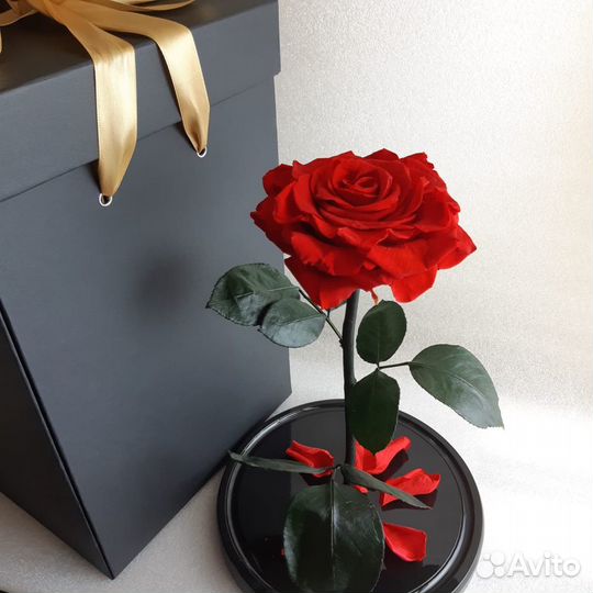 Роза в колбе