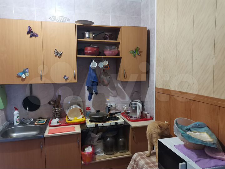 1-к. квартира, 21 м², 1/4 эт.