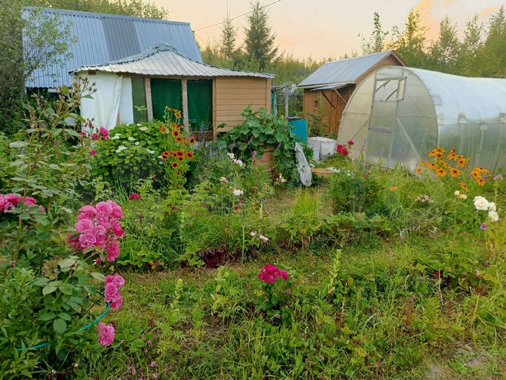 Дача 15 м² на участке 6,5 сот.