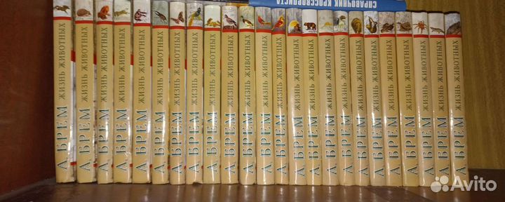 Серия из 24 книг