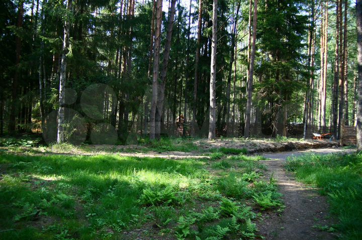 Участок 8 сот. (СНТ, ДНП)