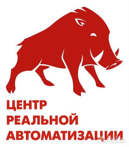 Программист 1С, обновление и услуги 1С