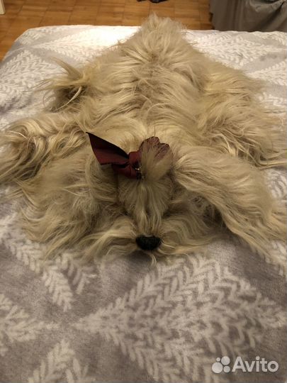 Мягкие игрушки