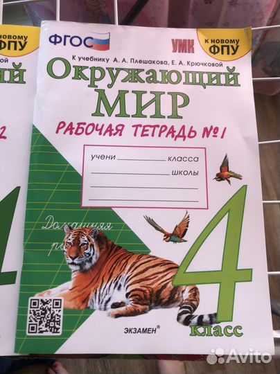 Рабочая тетрадь по окружающему миру 4 класс