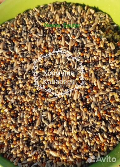 Корма для птиц