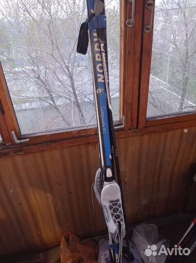 Беговые лыжи