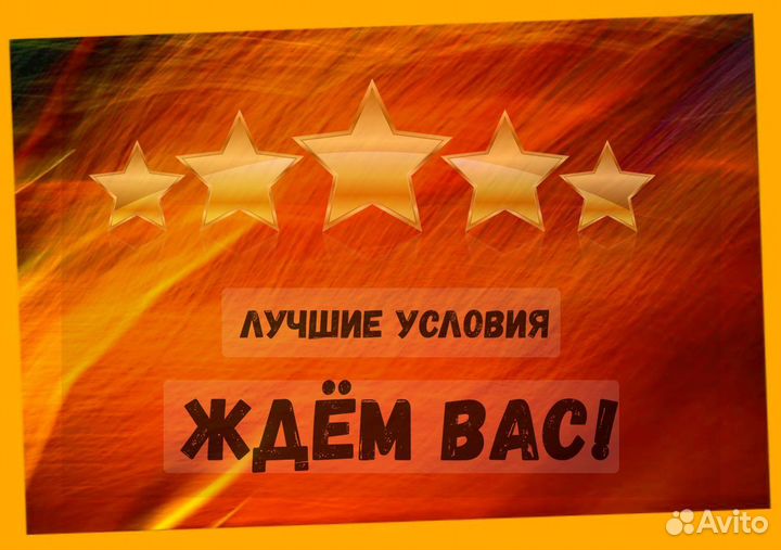 Упаковщик Еженедельные выплаты Без опыта