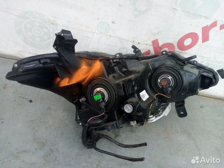 Фара передняя левая Nissan Teana / Altima L33 2.5