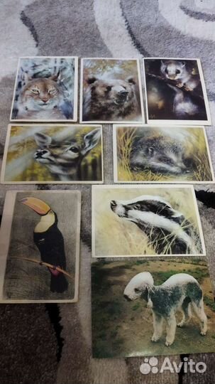 Открытки СССР