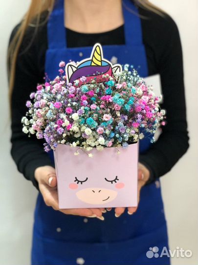 Гипсофила в коробке модная