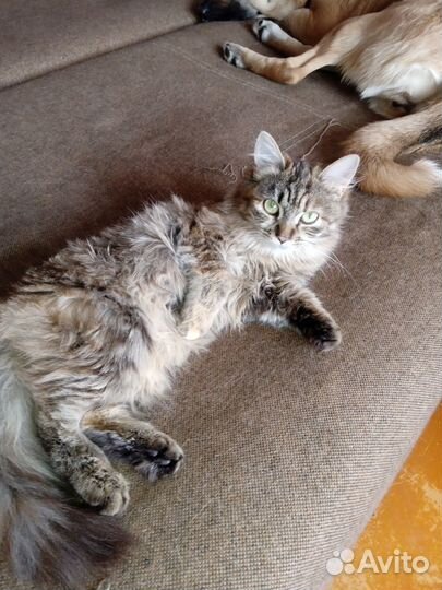 Милая девочка