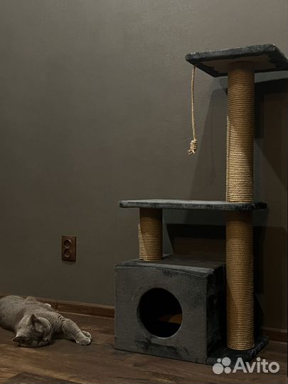 Домик для кошки бу