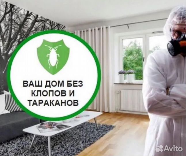 Уничтожение клещей тараканов клопов плесени