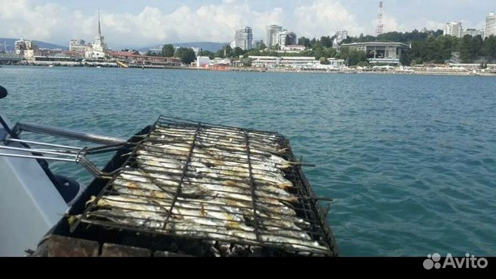 Морская рыбалка в сочи