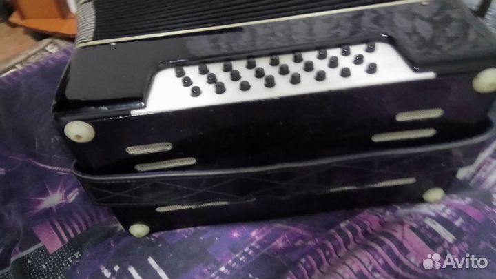 Гармонь шуйская чайка