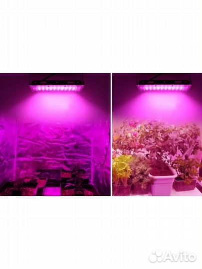 Фитолампа для растений