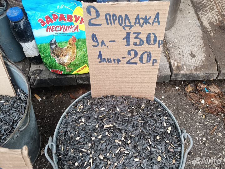 Семечки подсолнечника для птиц