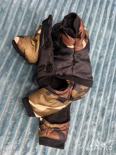 Одежда для собак мелких пород