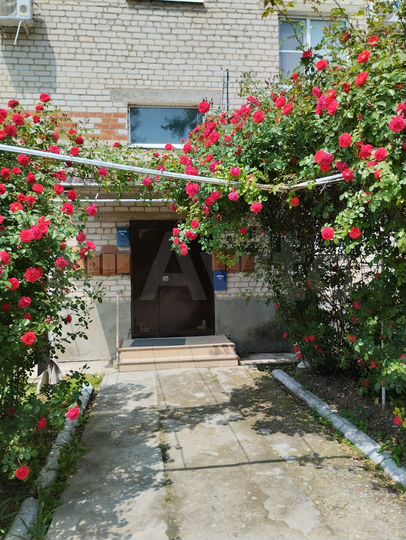 3-к. квартира, 58,2 м², 1/3 эт.