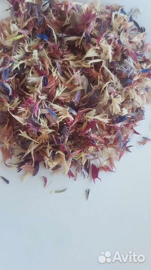 Лепестки василька