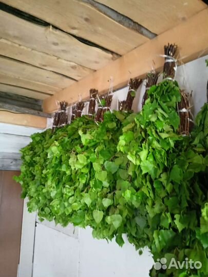 Веники для бани берёзовые