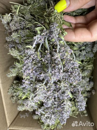 Набор для творчества