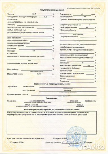 Семена сосны 15, 16, 18, 19, 21 лср