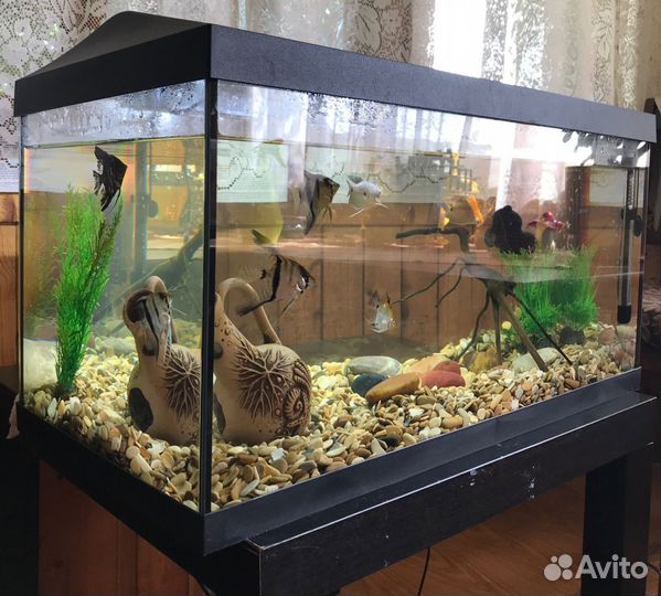 Аквариум Aquael 54л