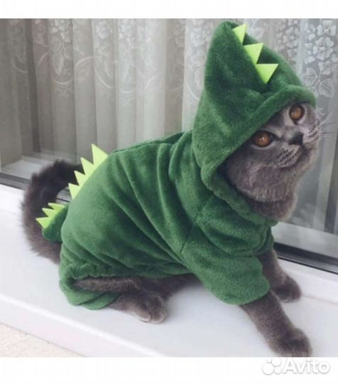 Костюм для кота