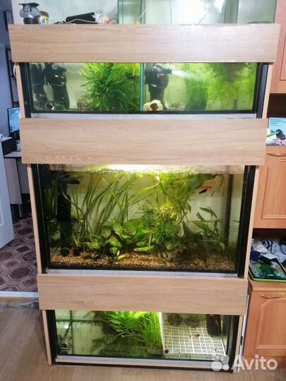 Аквариум