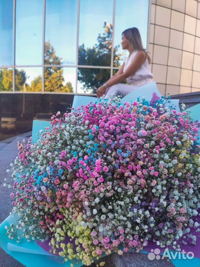 Гипсофила белая и радужная