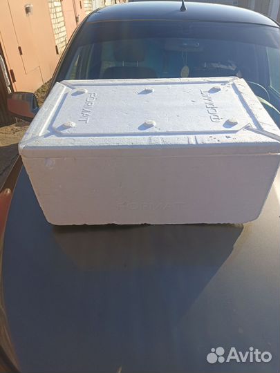 Термоконтейнер из пенопласта