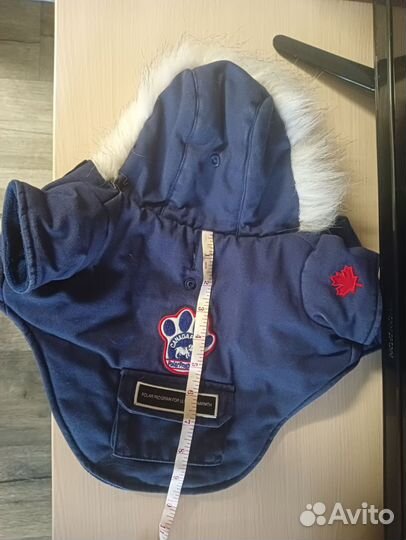 Одежда для собак мелких пород