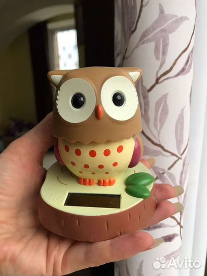 Сова на солнечной батарее