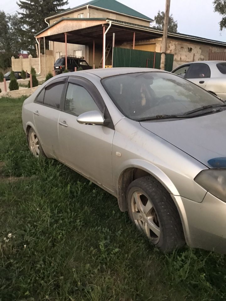 Nissan Primera: фото владельца