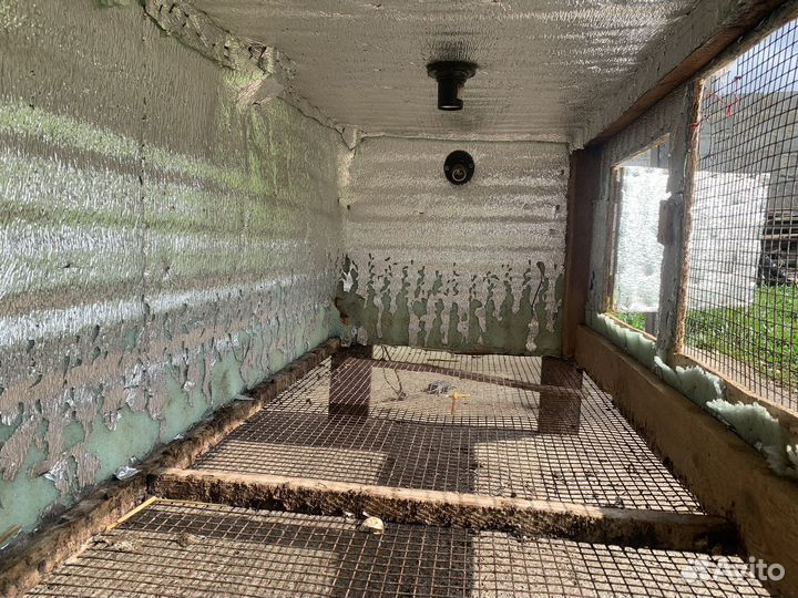 Брудер для цыплят