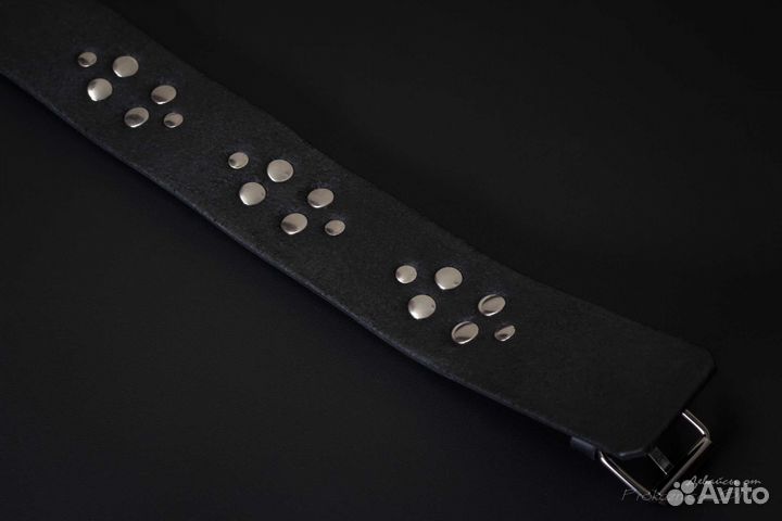 Ошейник, чокер