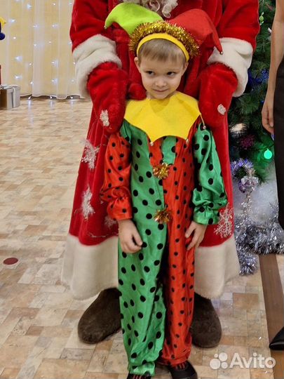 Костюм скомороха 110