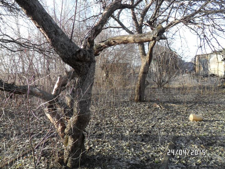 Участок 18,8 сот. (ИЖС)
