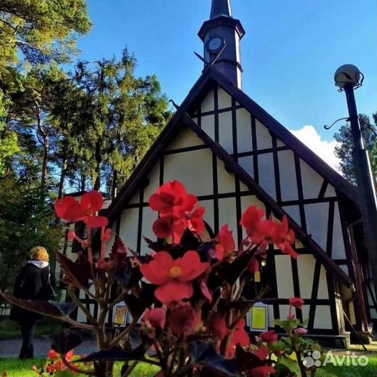 Туры корпоративные в Калининград