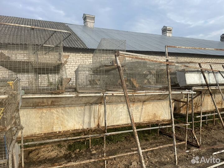 Клетки для кроликов