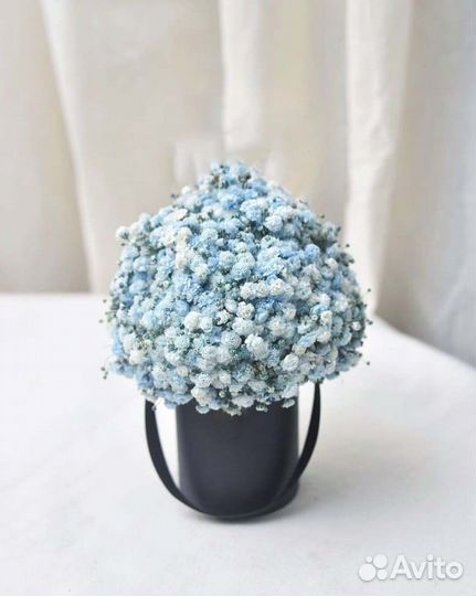 Гипсофила в Коробках. Подарок. Доставка/Самовывоз