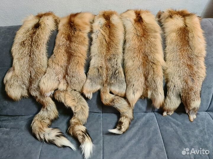 Лисьи шкуры