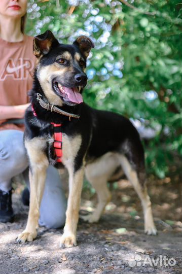 Жизнерадостная Рут ищет дом
